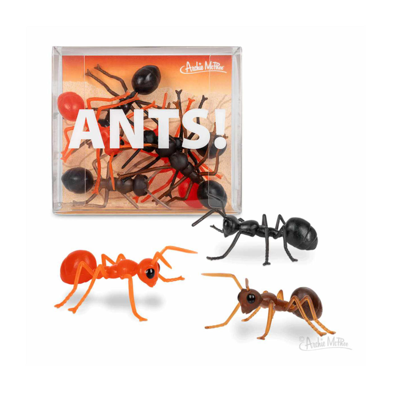 ANTS! Ameisen