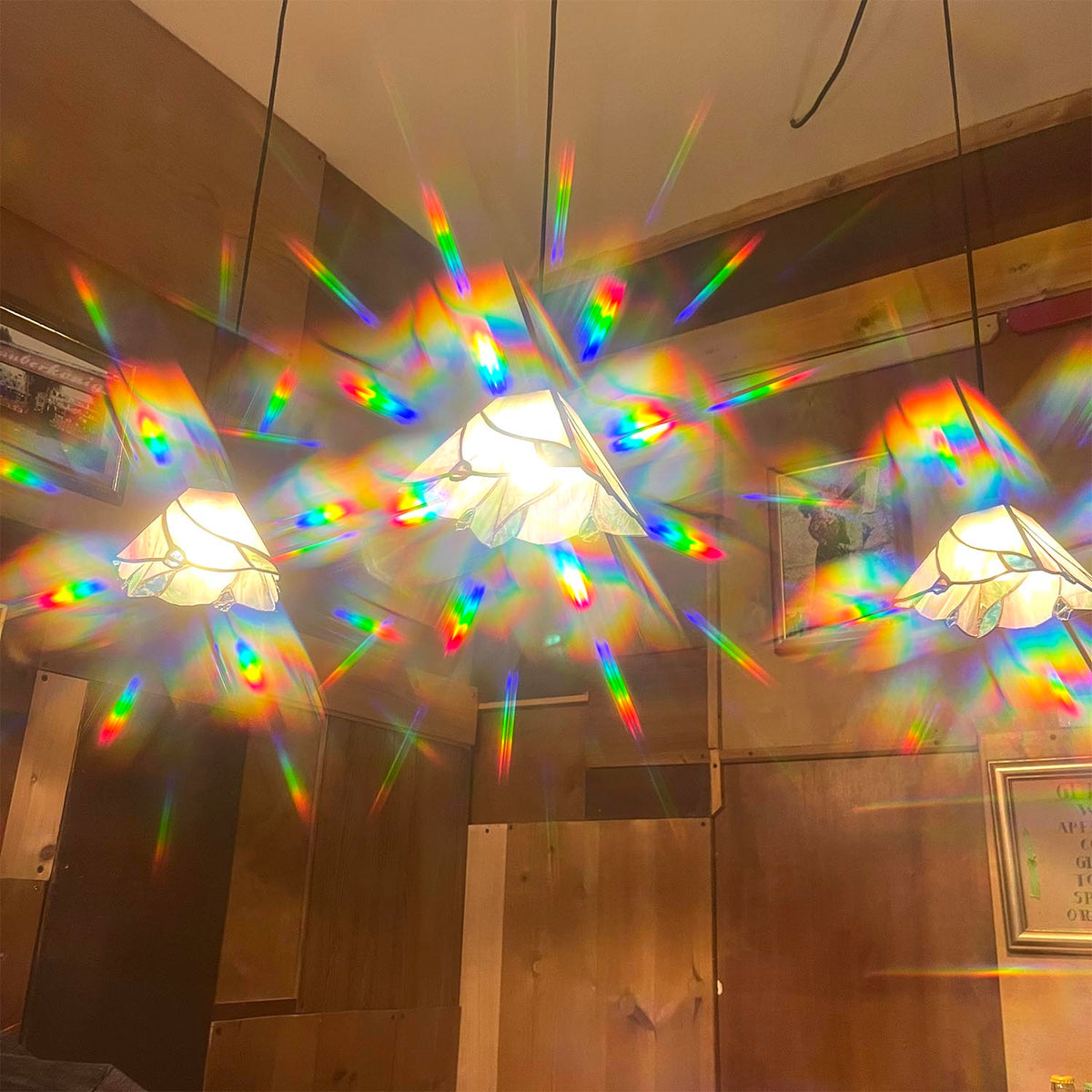 Regenbogengucker