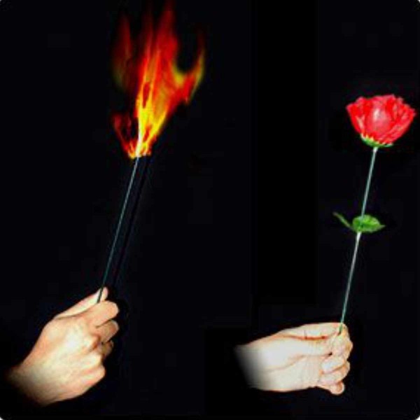 Torch to Rose - Plus