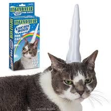 Unicorn for Cats