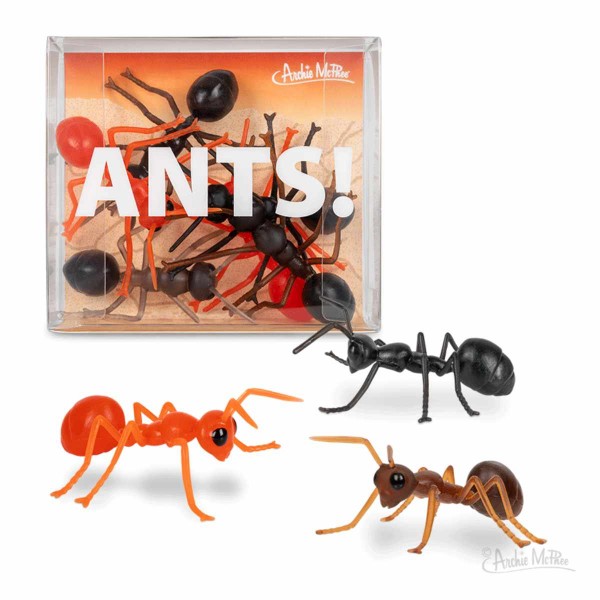 ANTS! Ameisen